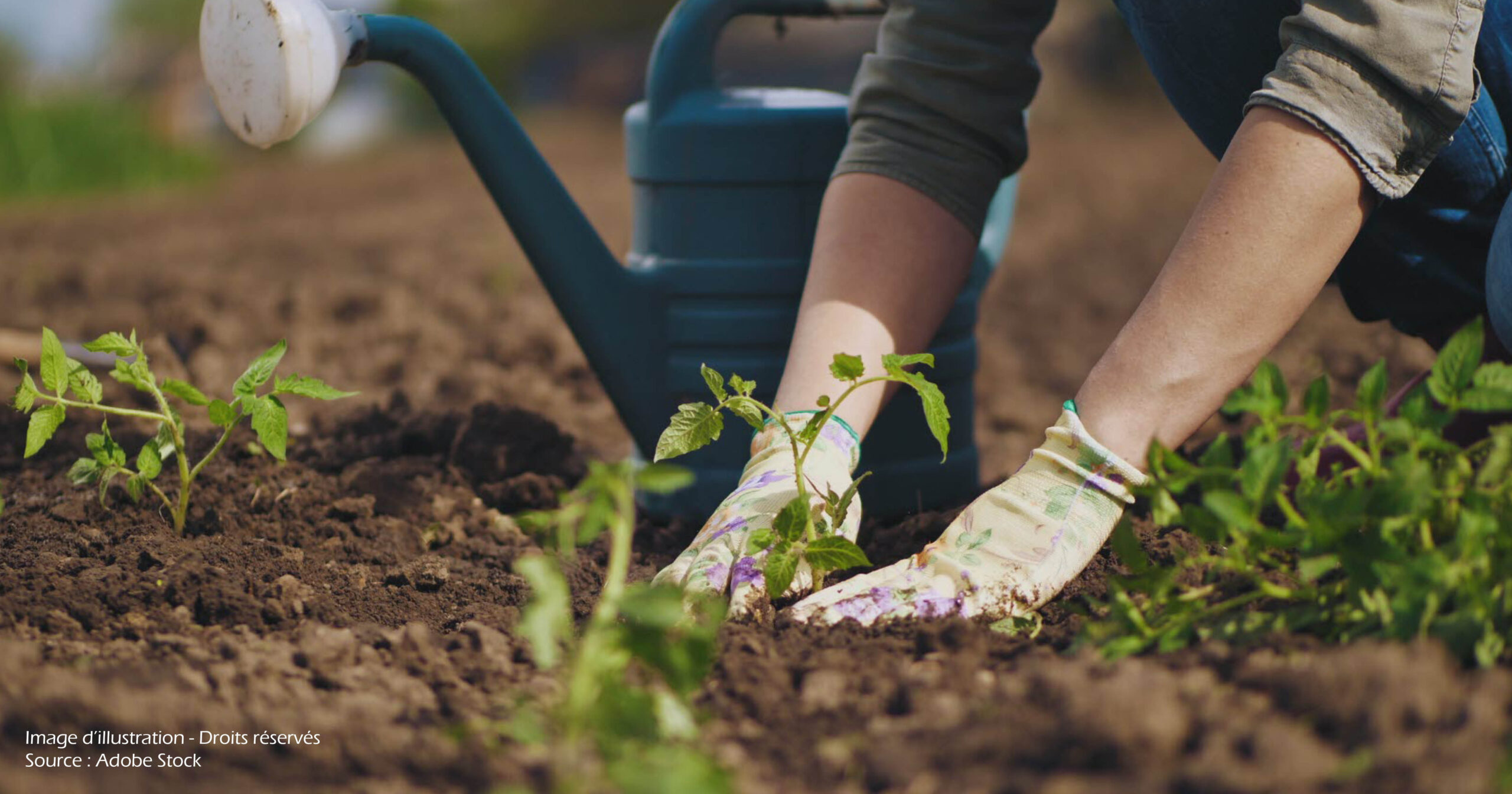 Recherche locataires pour jardins familiaux du Clos Jouvin